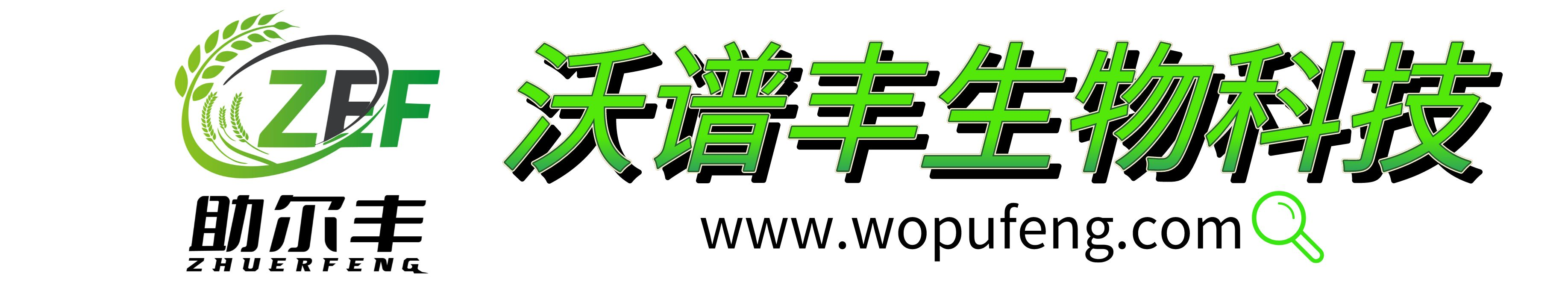 企業(yè)通用模版網(wǎng)站